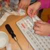 Auslegen mit feuchter Watte