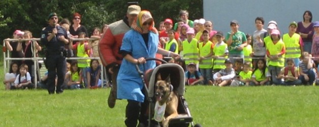 Besuch bei der Hundestaffel