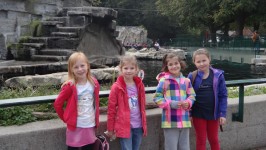 Ausflug in den Tierpark Schönbrunn