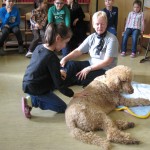 Keine Angst vorm großen Hund