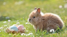 Ostern – und danach?