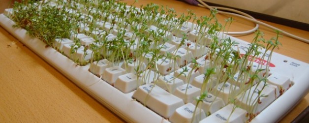 Computer-Recycling einmal anders